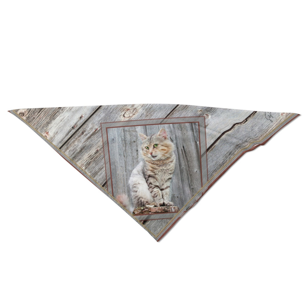 Gray Barn Cat Scarf Medium