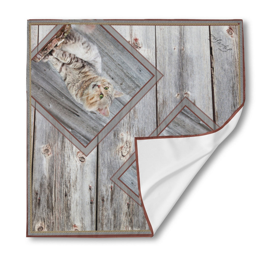 Gray Barn Cat Scarf Medium