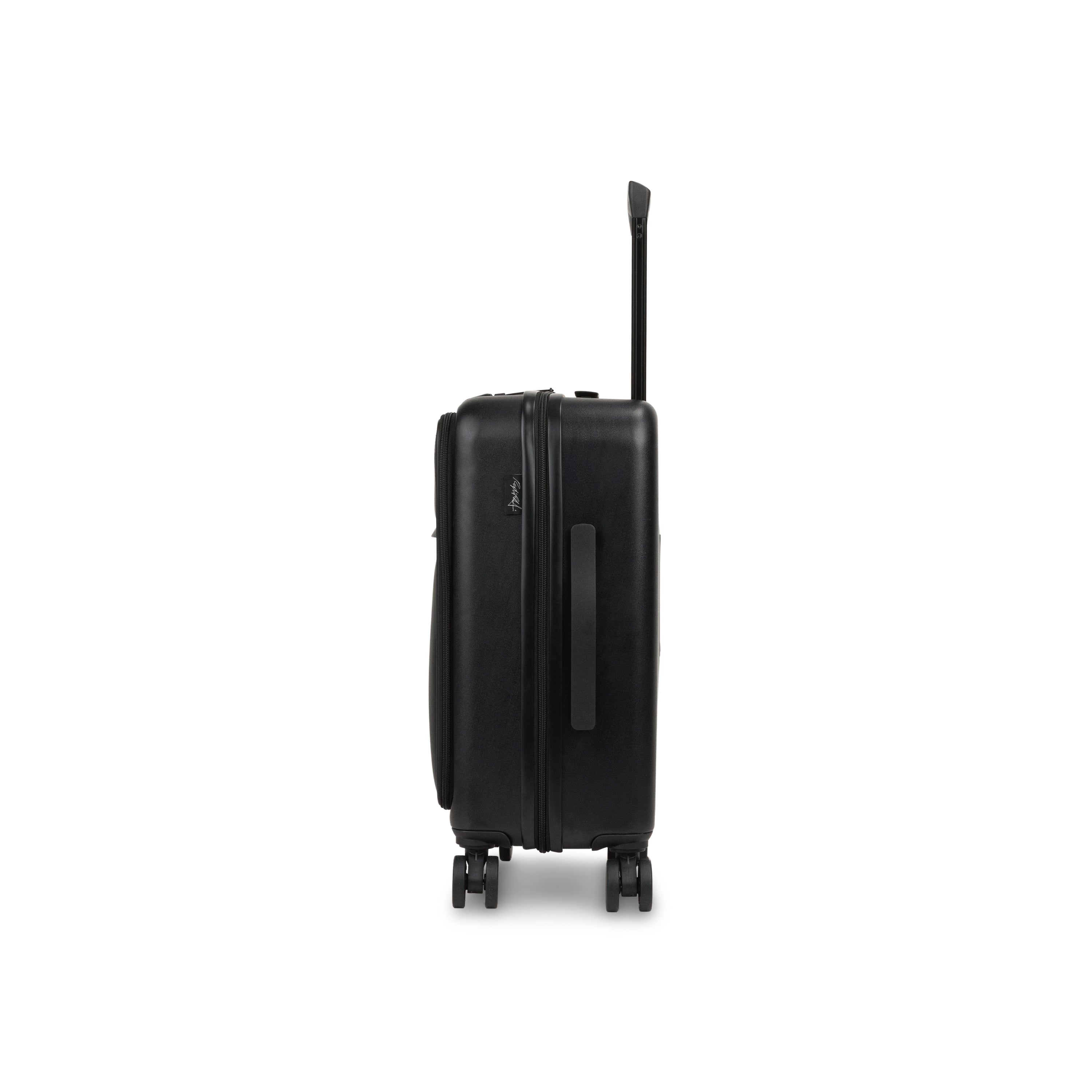 Raphael Carry-on