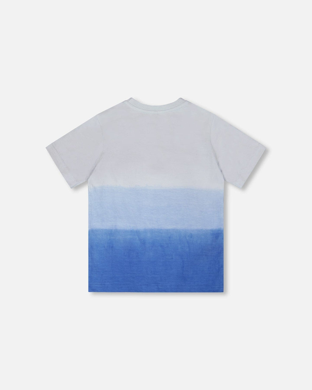 Organic Cotton Jersey T-Shirt With Print Gradient Pale Blue