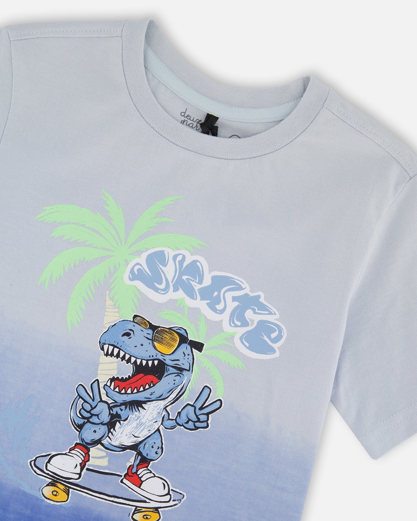 Organic Cotton Jersey T-Shirt With Print Gradient Pale Blue