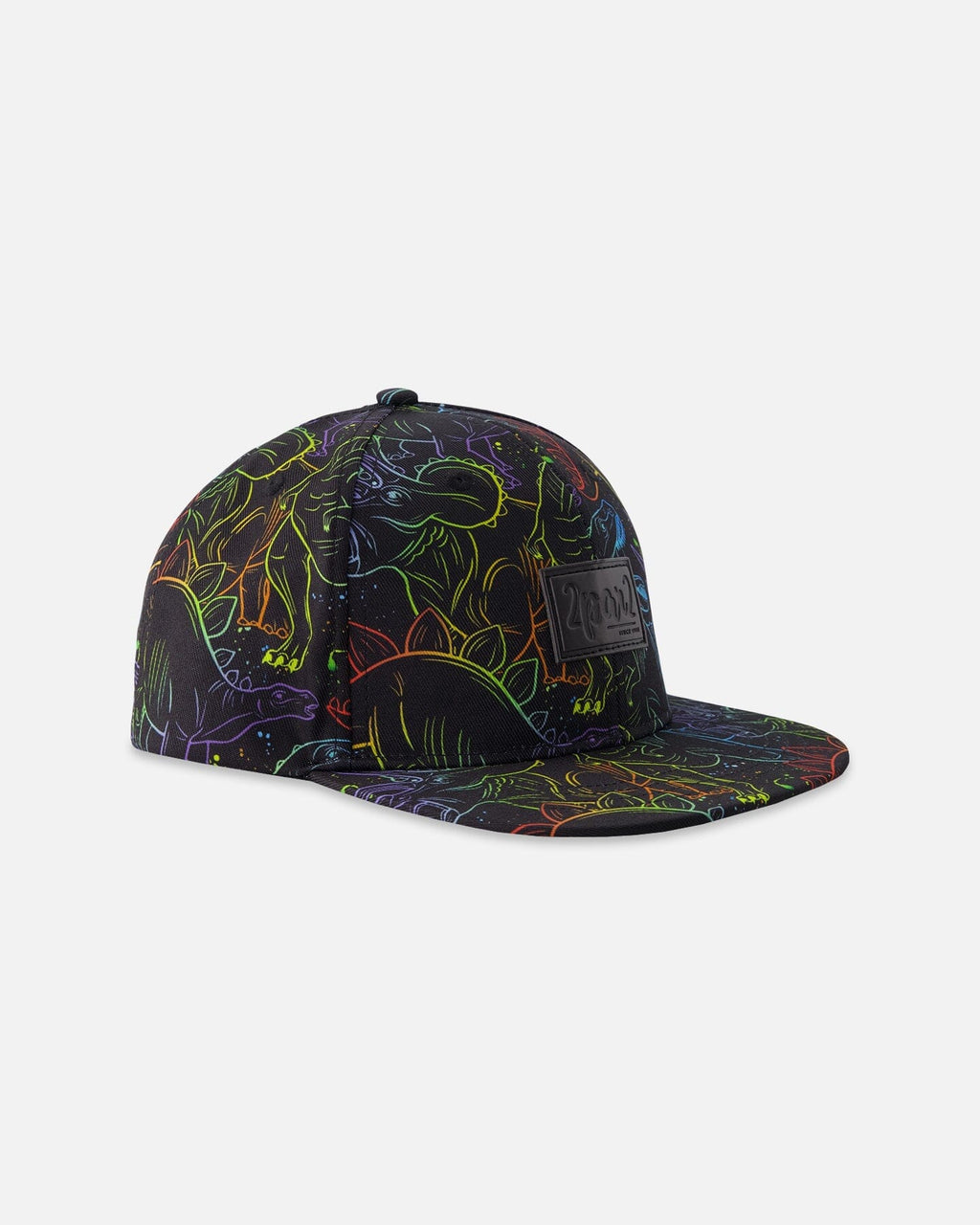 Cap Black Dinosaur Print