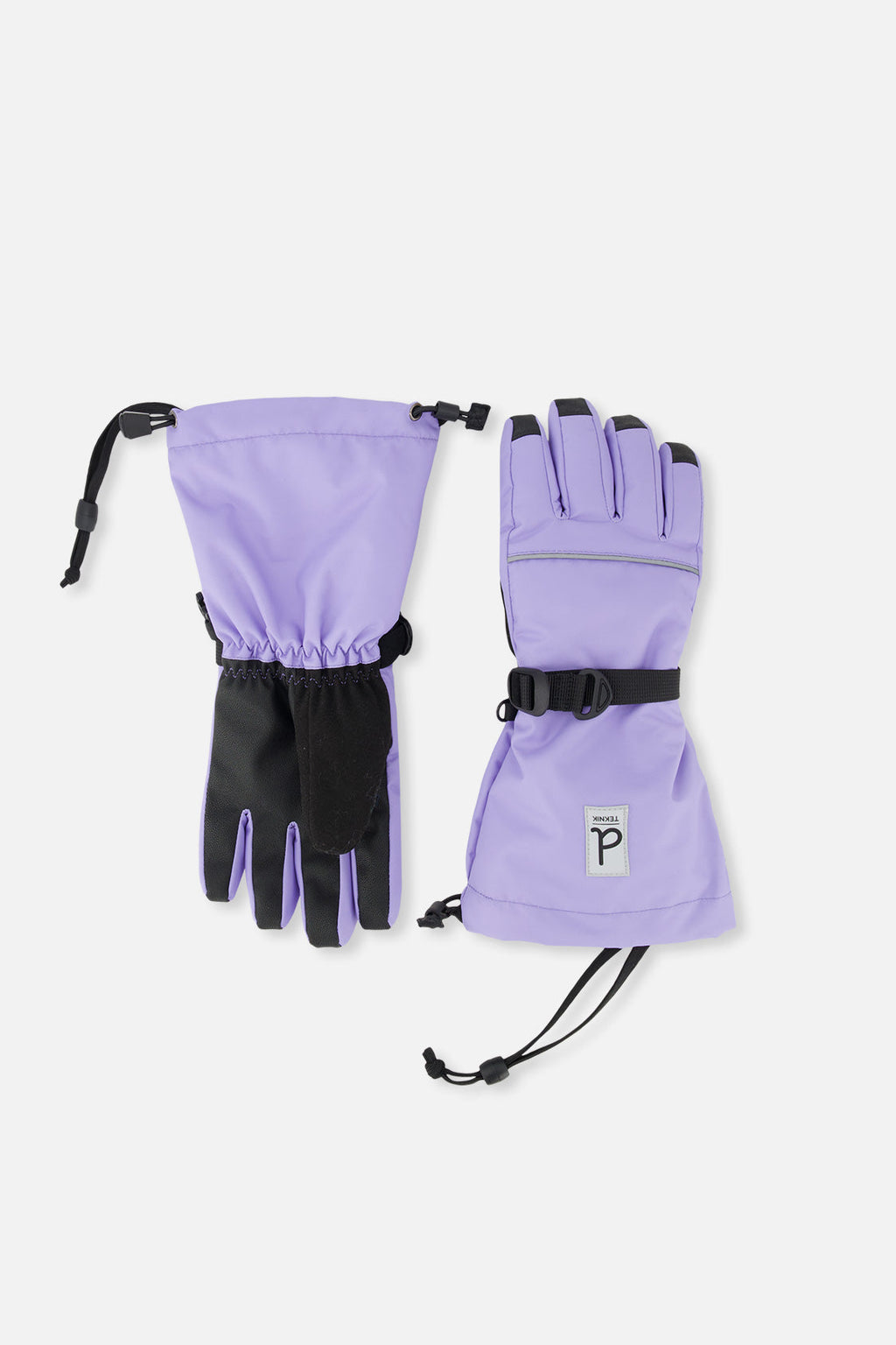 Teknik Winter Gloves Violet
