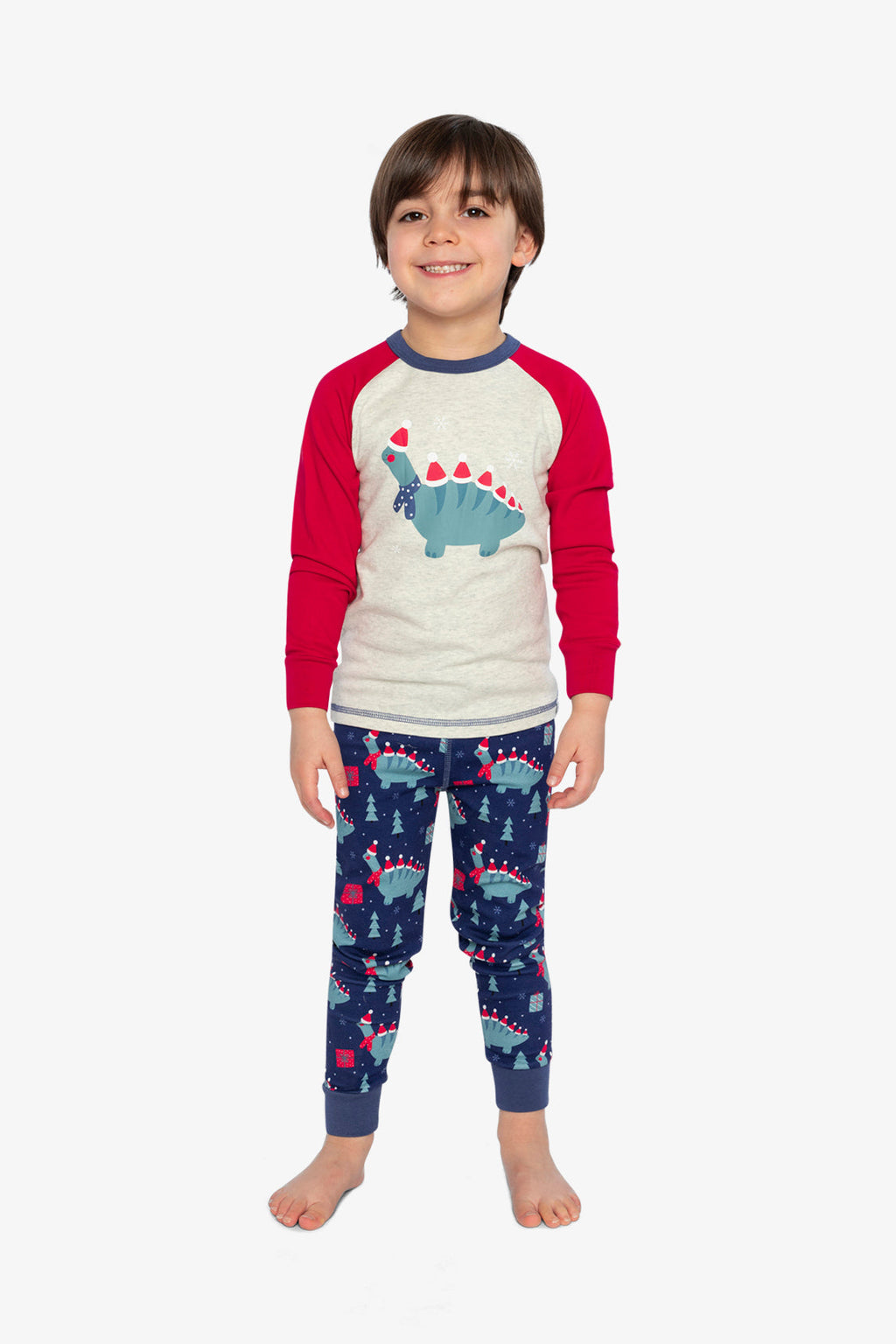 Organic Cotton Two Piece Pajama Set Blue Dinosaur Print
