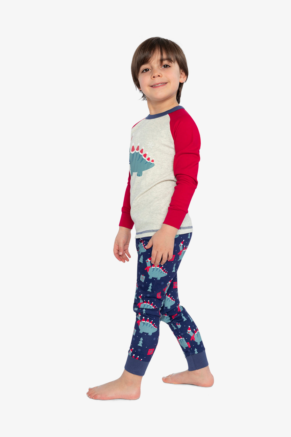 Organic Cotton Two Piece Pajama Set Blue Dinosaur Print