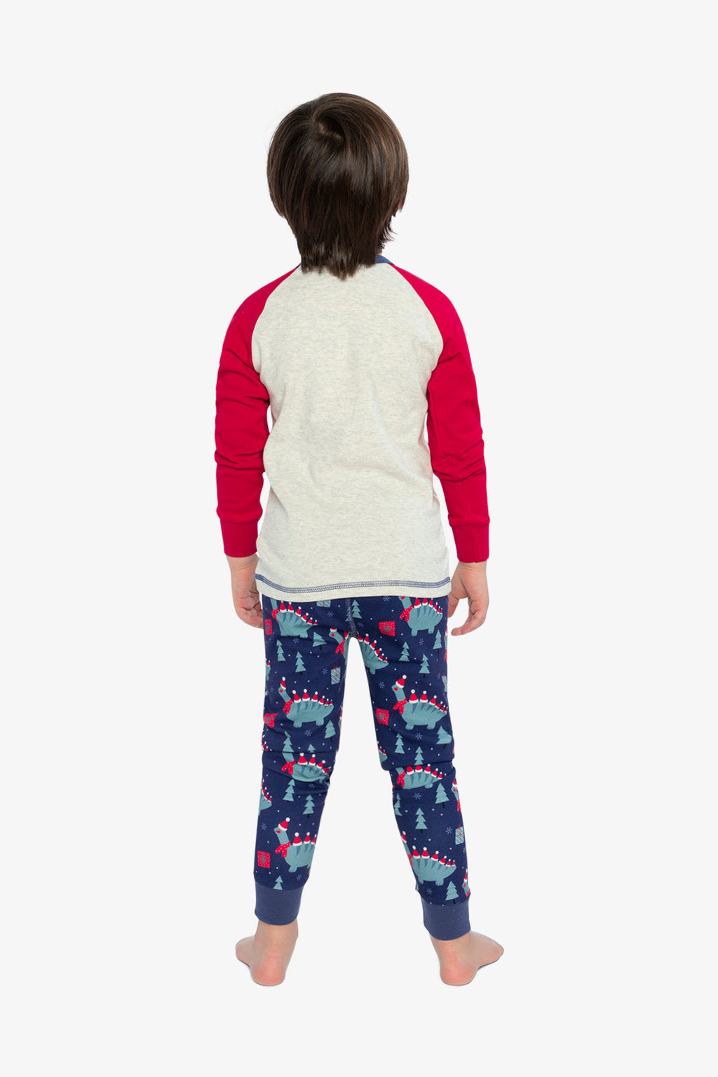 Organic Cotton Two Piece Pajama Set Blue Dinosaur Print