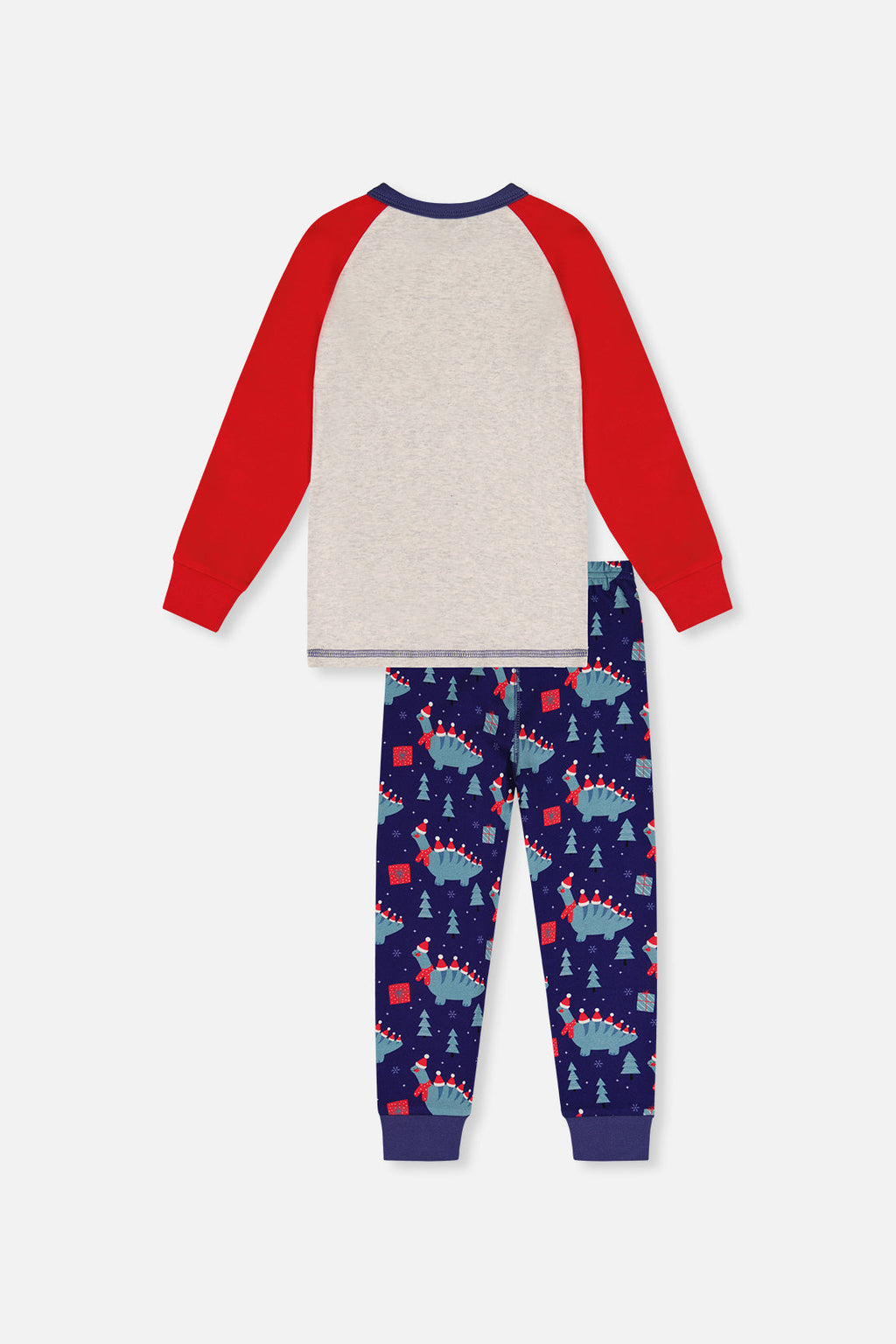 Organic Cotton Two Piece Pajama Set Blue Dinosaur Print