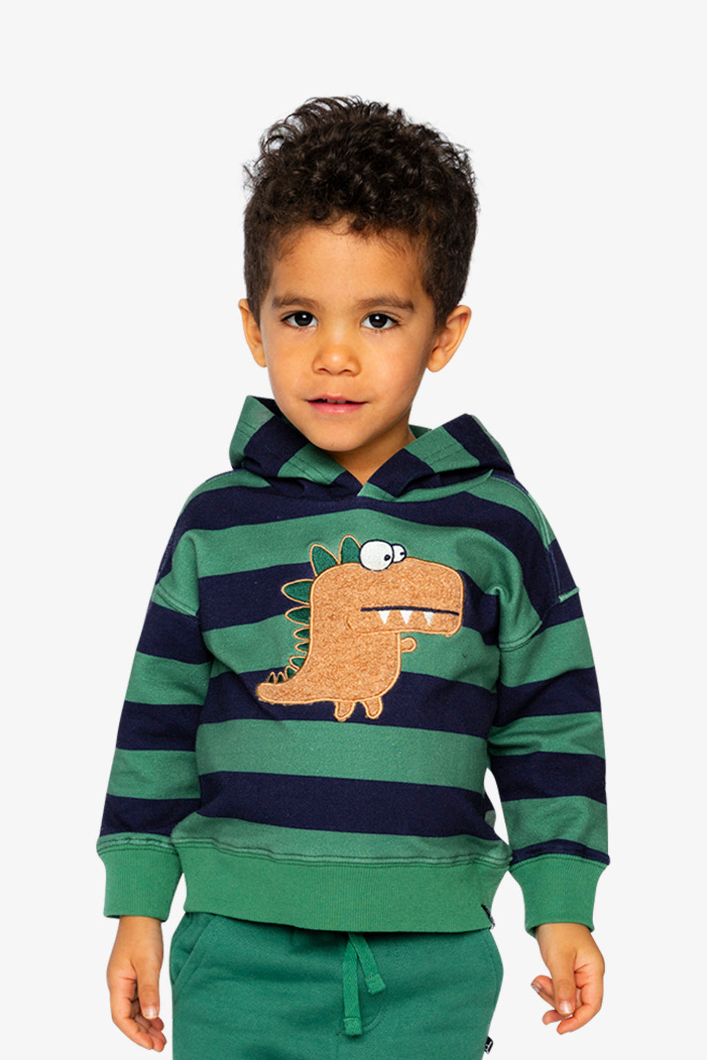 Fleece Hoodie With Applique Blue Striped Green