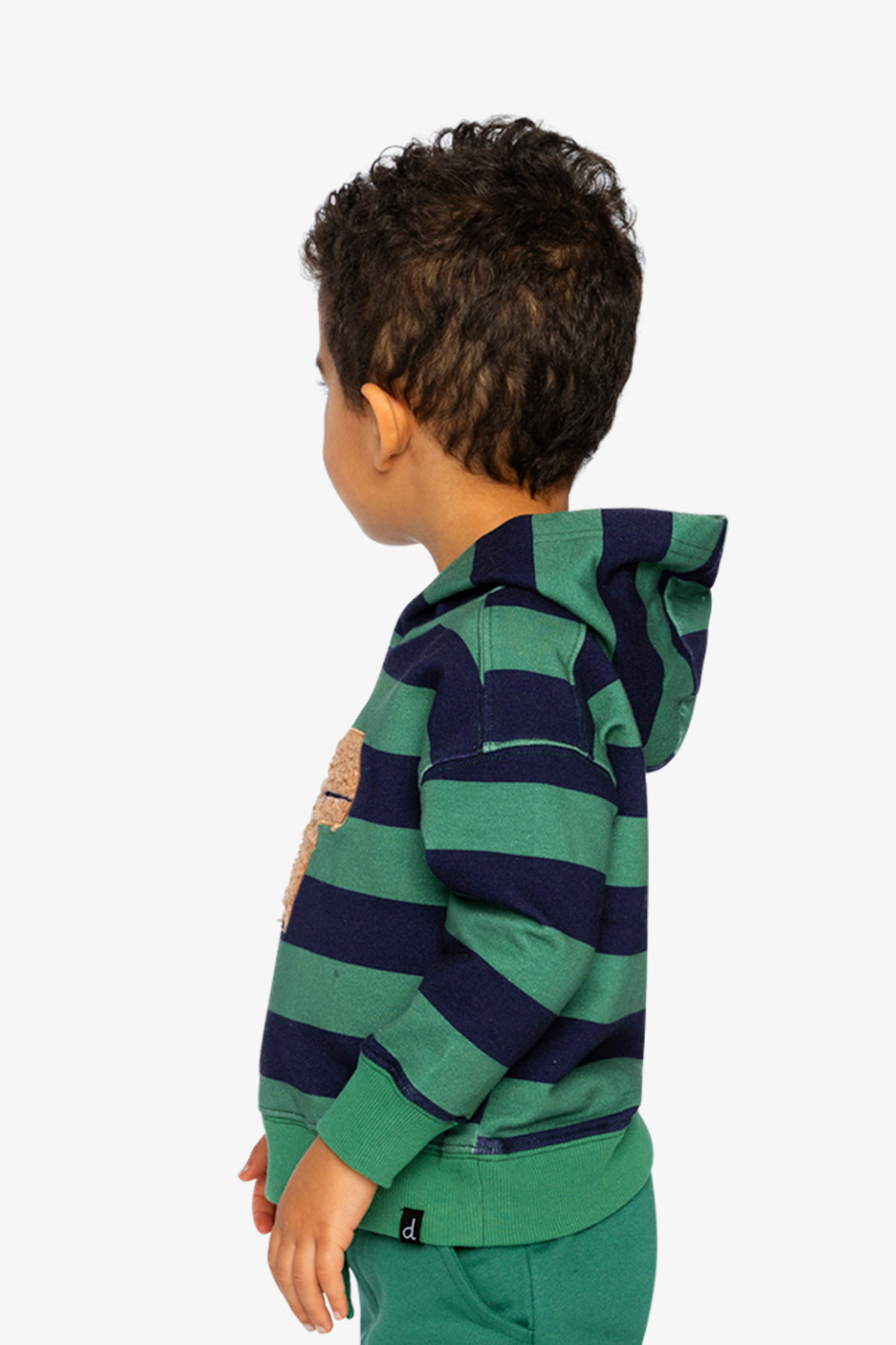 Fleece Hoodie With Applique Blue Striped Green