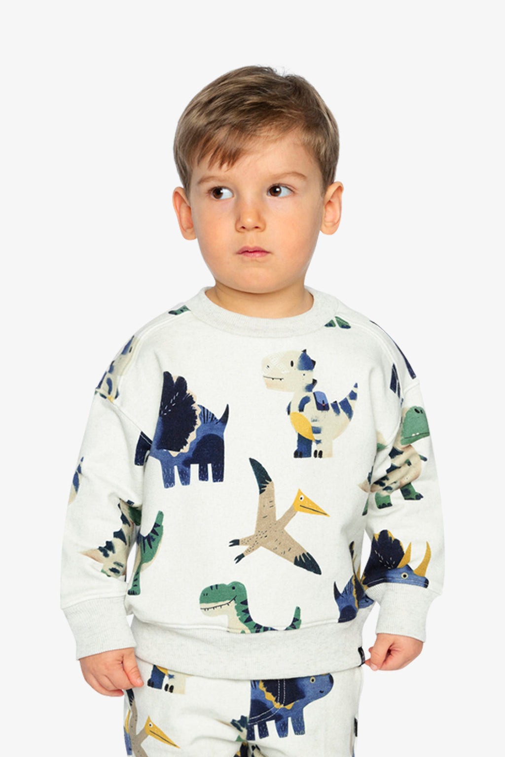 Fleece Sweatshirt Beige Dinosaur Print