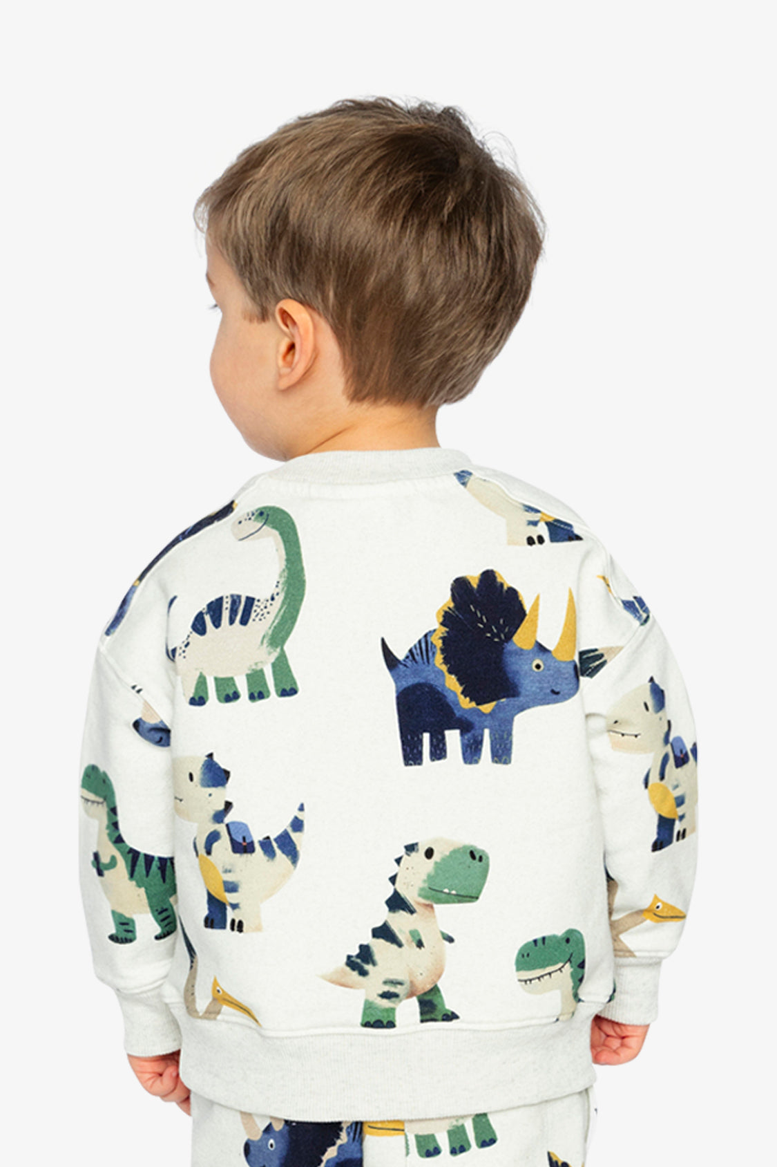 Fleece Sweatshirt Beige Dinosaur Print
