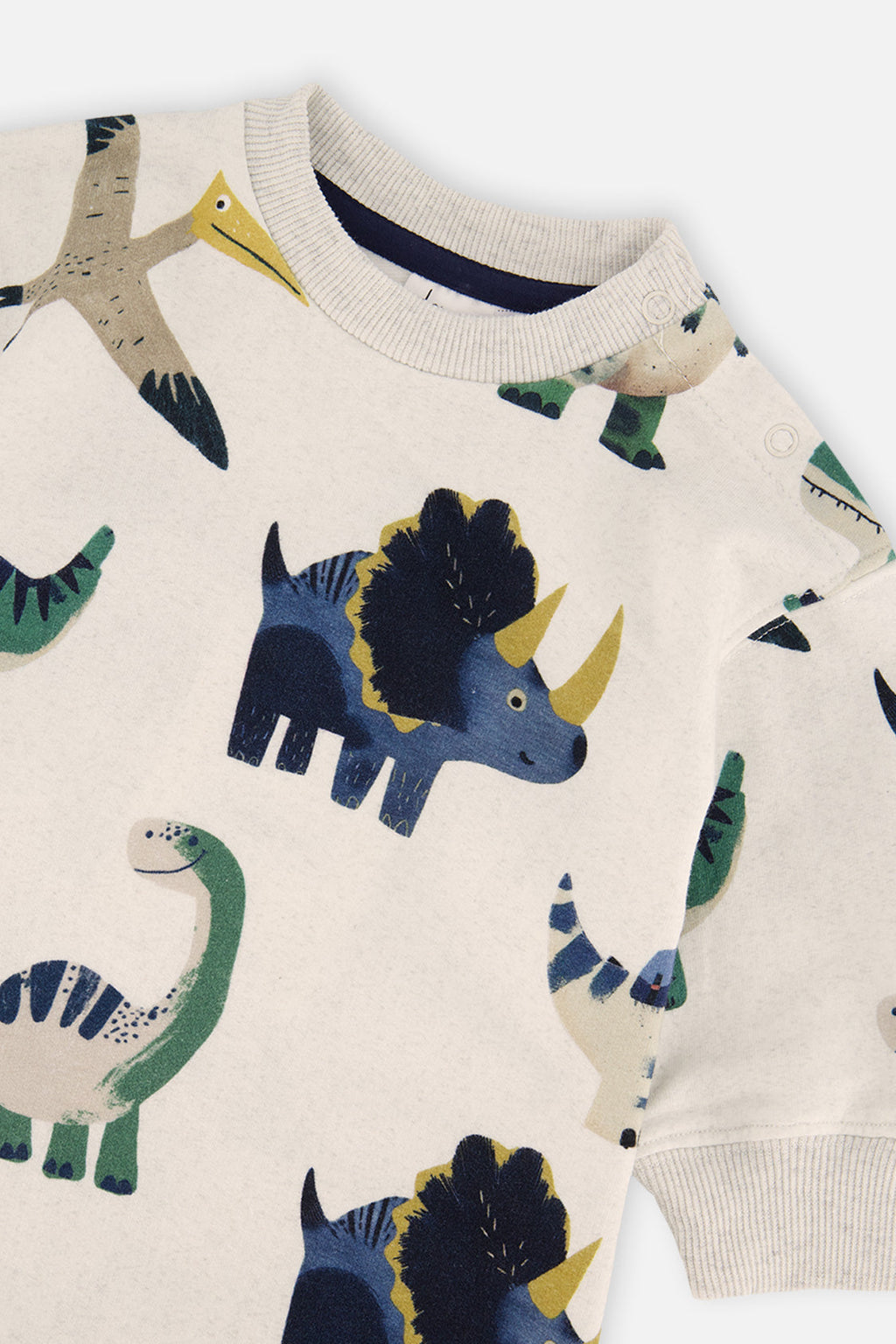 Baby Fleece Sweatshirt Beige Dinosaur Print