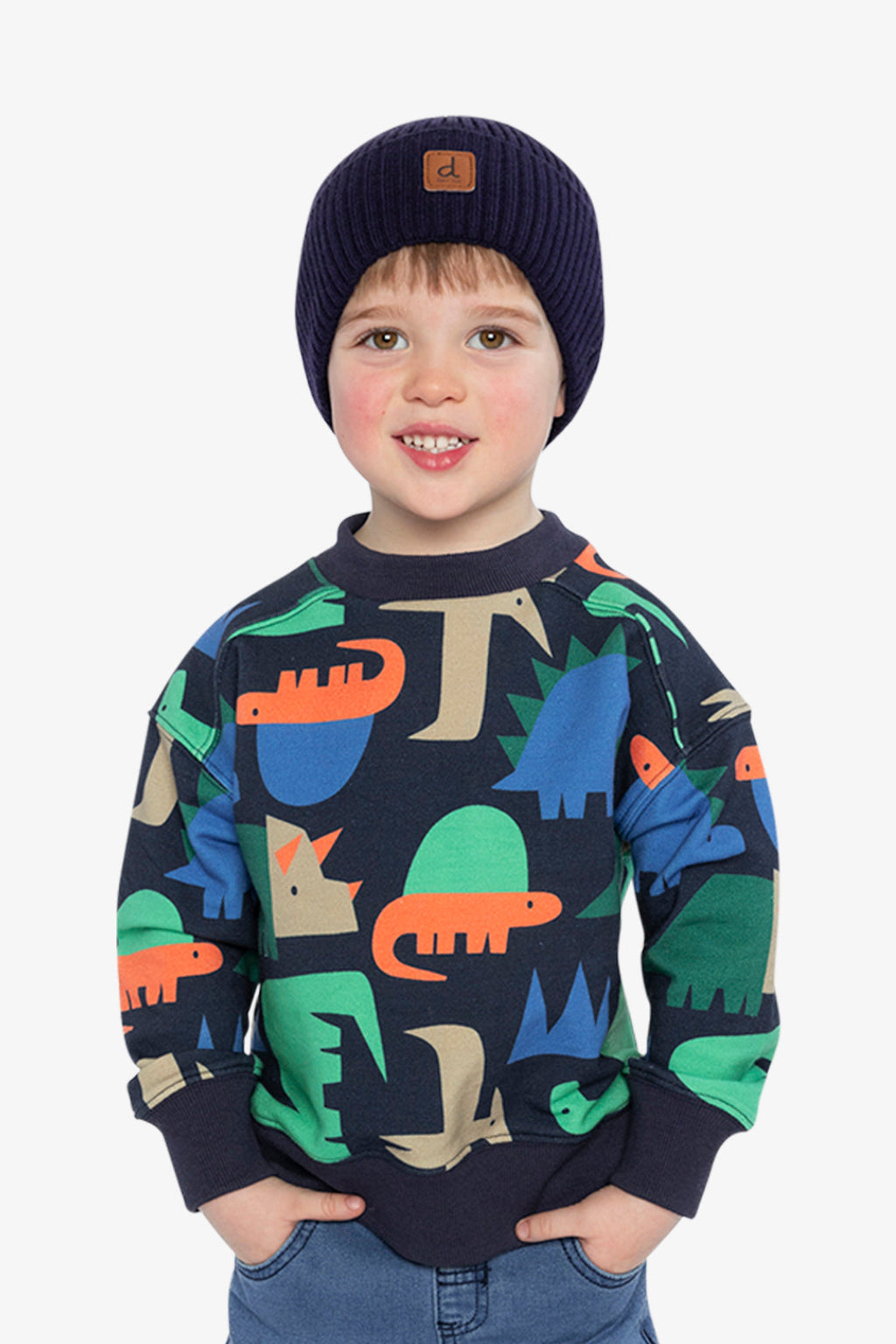 Fleece Sweatshirt Blue Dinosaur Print