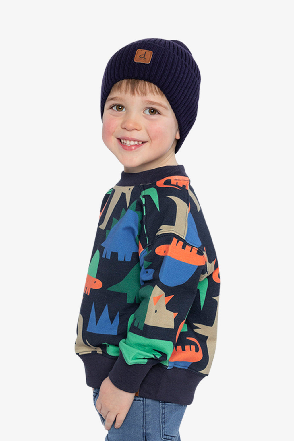 Fleece Sweatshirt Blue Dinosaur Print