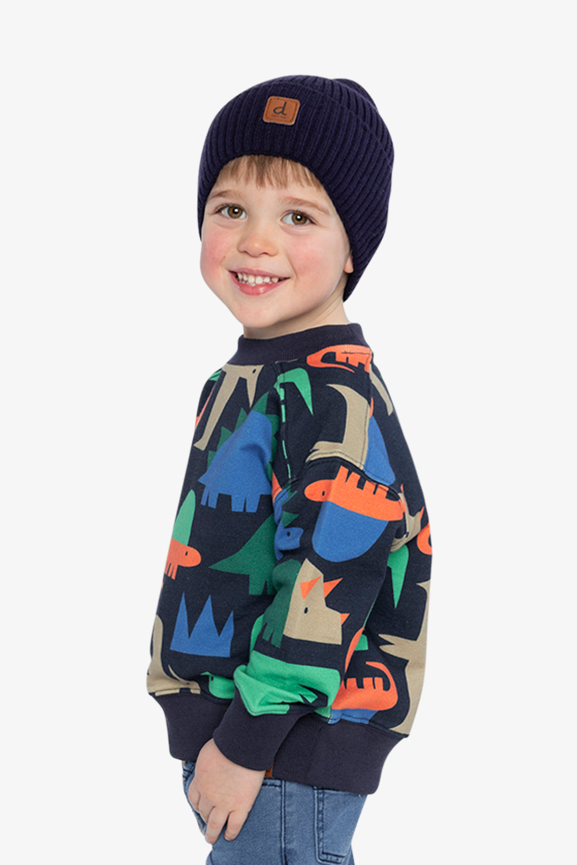 Fleece Sweatshirt Blue Dinosaur Print