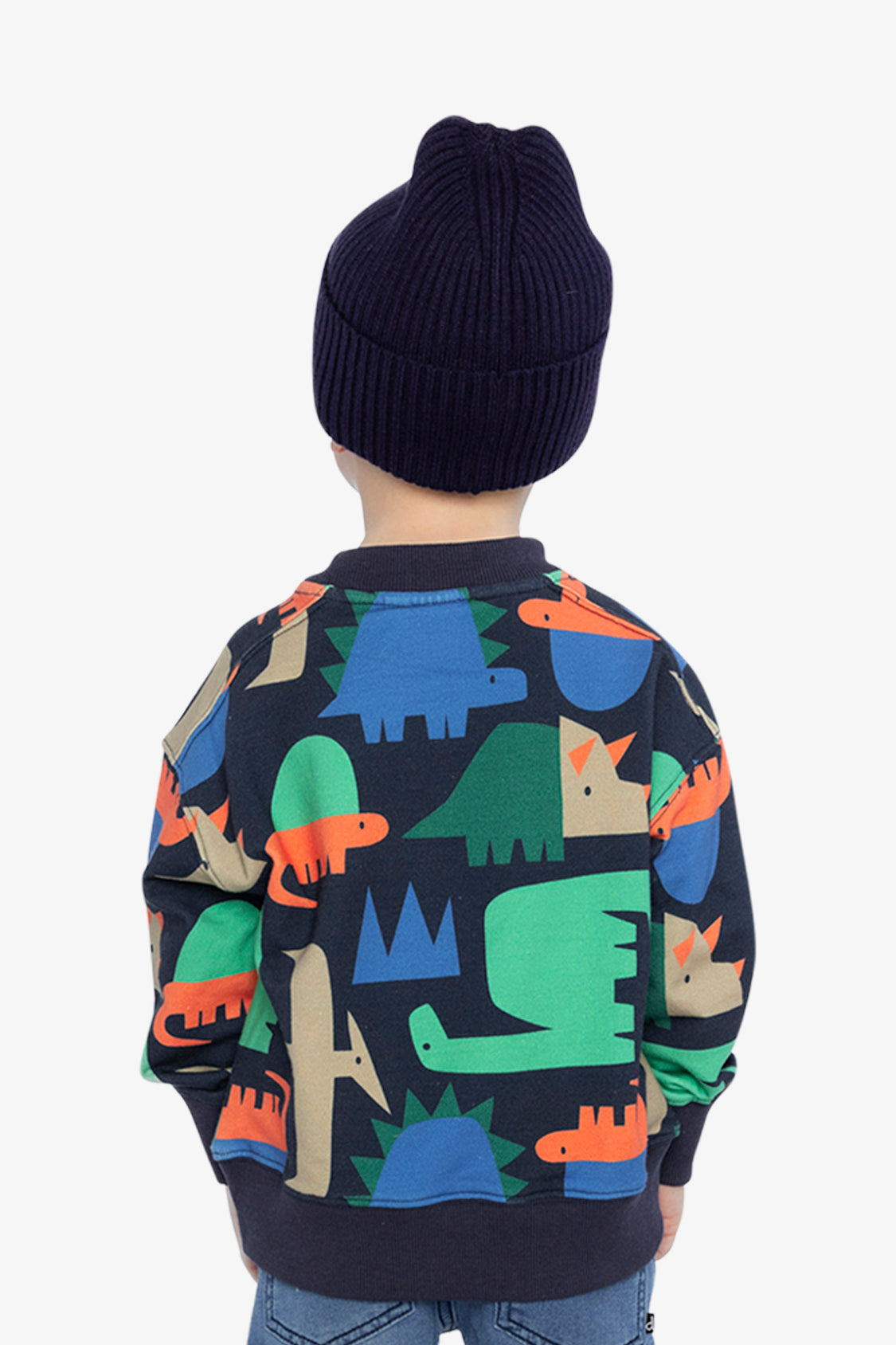 Fleece Sweatshirt Blue Dinosaur Print