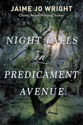 Night Falls on Predicament Avenue