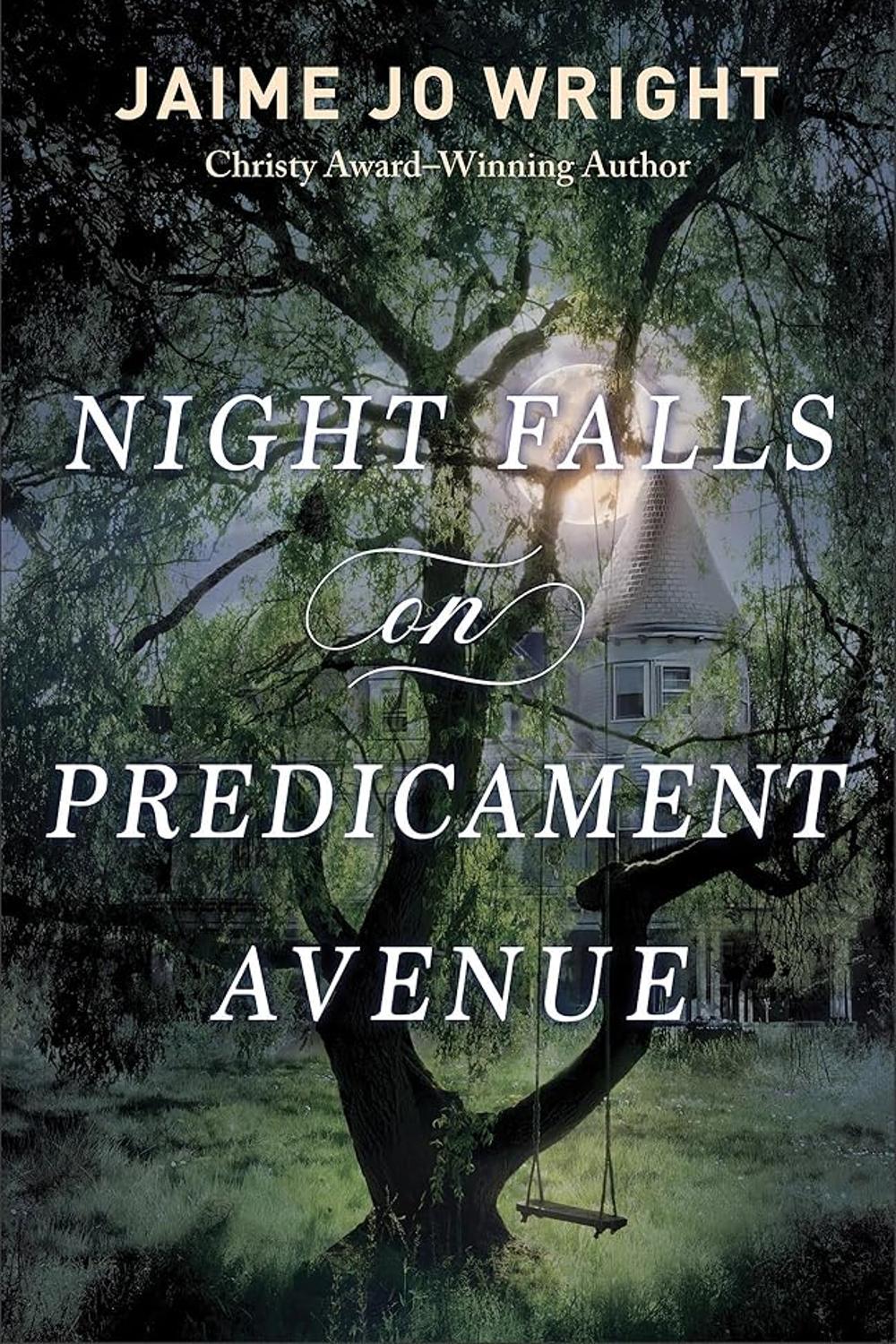 Night Falls on Predicament Avenue