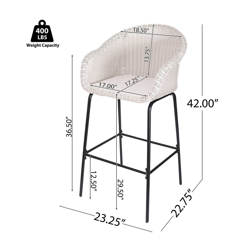 Ladd Outdoor Metal Wicker Barstool Set of 2