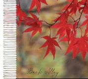 "Kyoto" Tassel Scarf - Cashmere-Feel 79"×28"